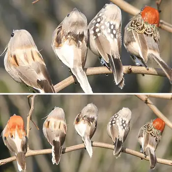 Umelé Vtáčie Pena Perie Farebné Mini Tit Plavidlá Vtákov DIY Umelé Sparrow, Emulácia Dekorácie Roztomilý Vták Model