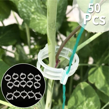 Plastové Strojov Klipy Podporuje Pripojí Opakovane Ochrany Vrúbľovanie Stanovenie Nástroj Záhradníctvo Dodávky pre Rastlinné Paradajka 50PCS